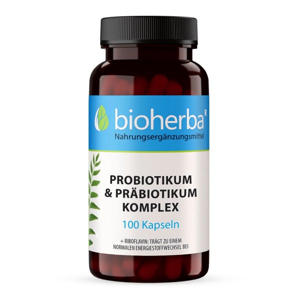 Probiotikum & PrÄbiotikum Komplex Kapseln 100 St