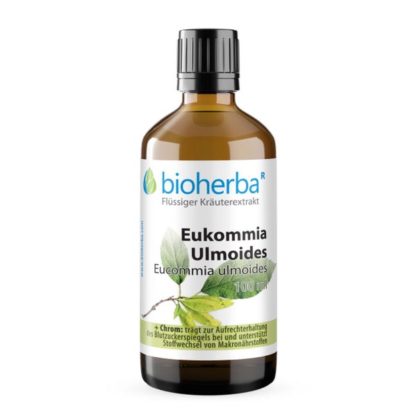 Eukommia Ulmoides Extrakt Tropfen 100 ml