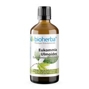 Bioherba Eukommia Ulmoides Tropfen Tinktur 100 ml