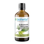 Eukommia Ulmoides Extrakt Tropfen 100 ml