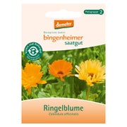 Bingenheimer - Saatgut Ringelblume