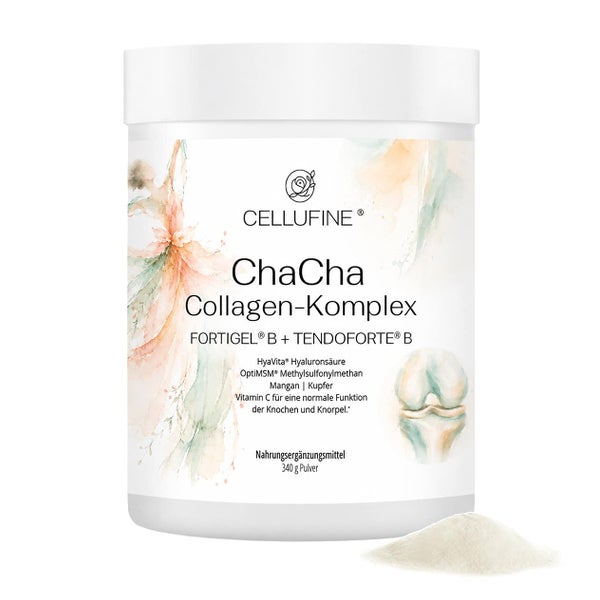 ChaCha Collagen-Komplex mit FORTIGEL® B + TENDOFORTE® B 340 g