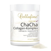 ChaCha Collagen-Komplex mit FORTIGEL® B + TENDOFORTE® B 340 g
