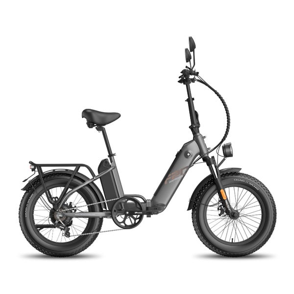 FAFREES FF20 Polar Step-Thru E-Bike, Dual-Akku (48 V, 24 Ah) 1 St