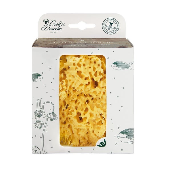 Mittelmeerschwamm in plastikfreier Geschenkbox