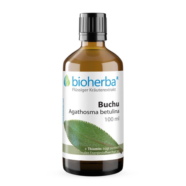 Buchu Agathosma Betulina Extrakt Tropfen 100 ml