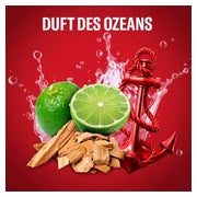 Multipack 2x Old Spice 3in1 Duschgel Captain 1000 ml 1 St