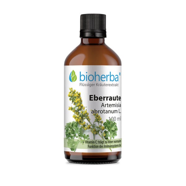 Bioherba Eberraute Artemisia abrotanum L. Tropfen Tinktur 100 ml